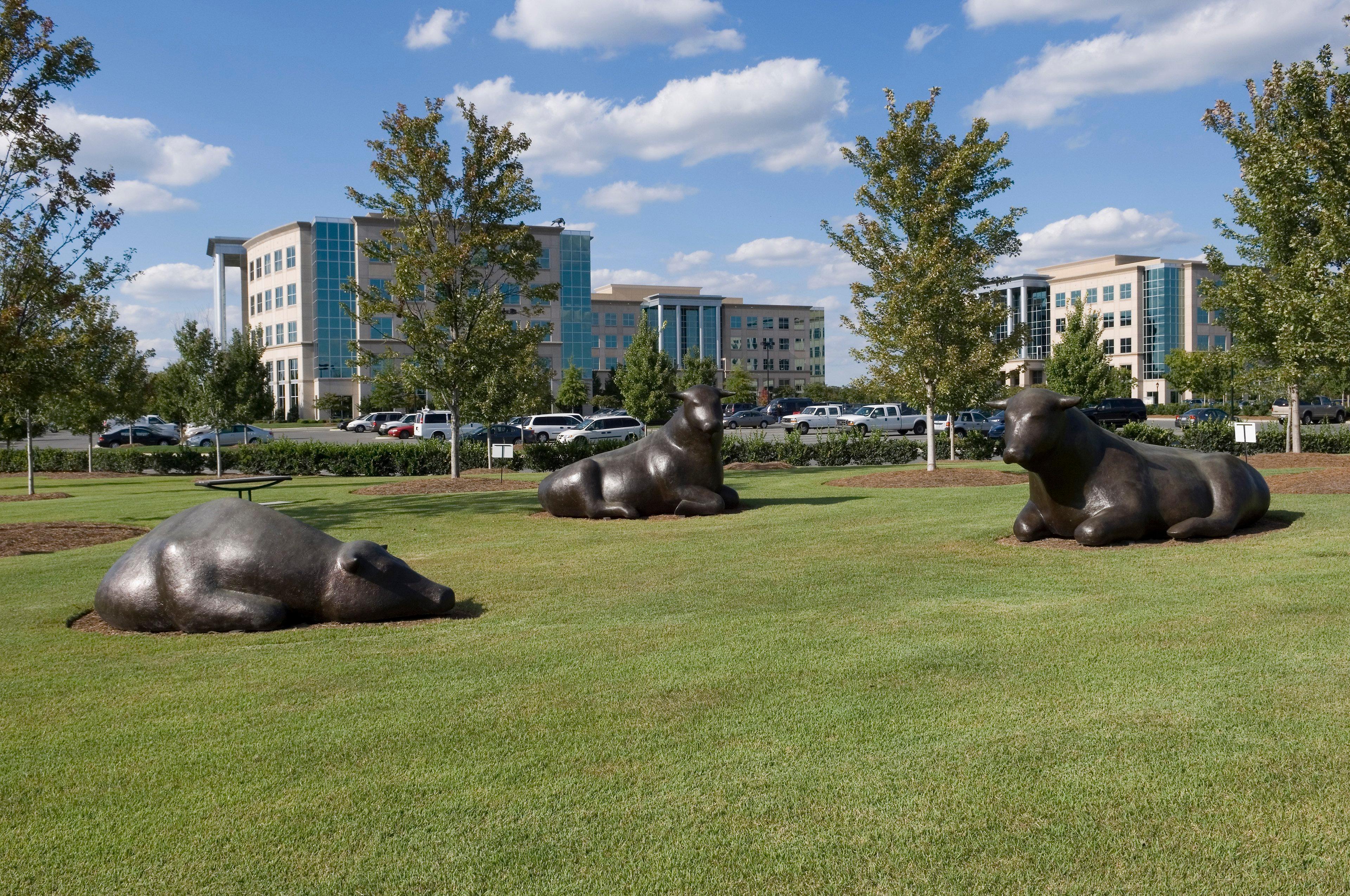 Staybridge Suites - Charlotte Ballantyne By Ihg מראה חיצוני תמונה
